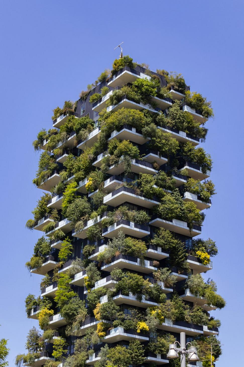 Sustainable Building Solutions